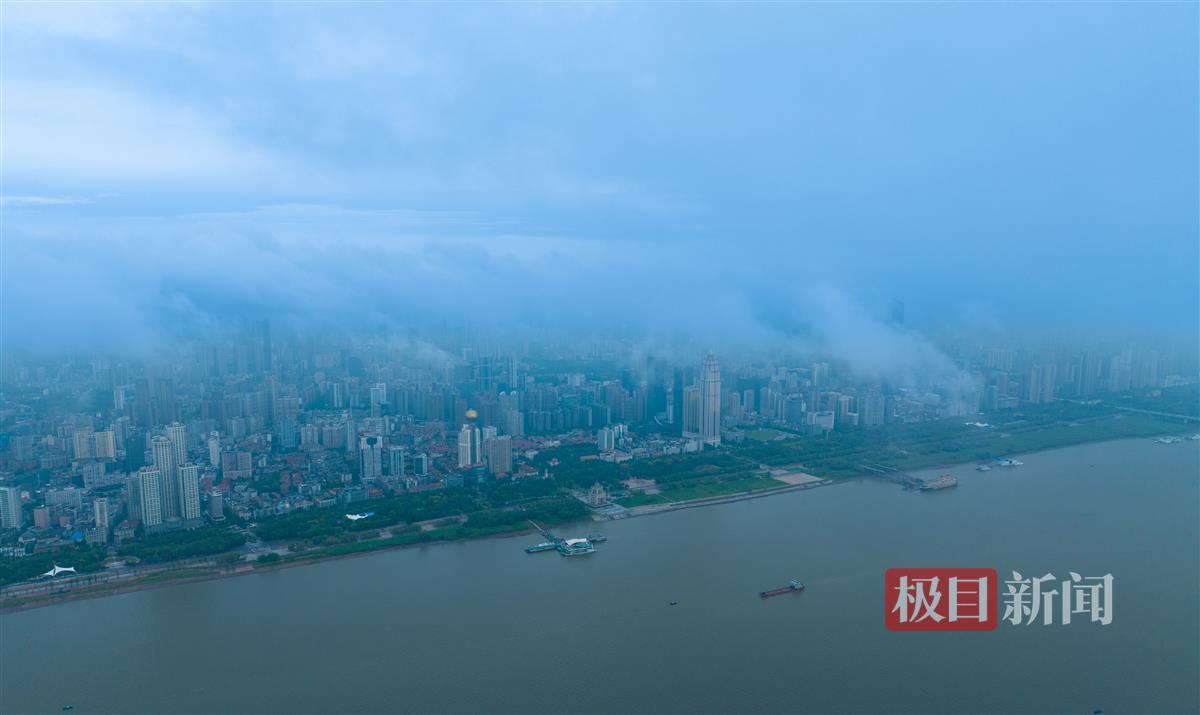 大发手机版网页版登陆